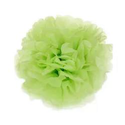 Помпон зеленый киви (30 см) Помпон зеленый киви (30 см)