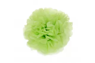 Помпон зеленый киви (30 см) Помпон зеленый киви (30 см)