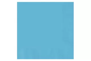 Салфетки голубые (16 шт.) Салфетки голубые (16 шт.)