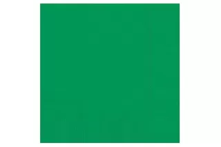 Салфетки зеленые (16 шт.) Салфетки зеленые (16 шт.)