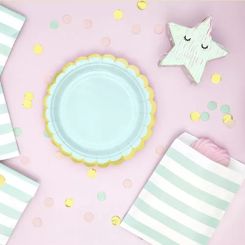 Тарелки мятные с каймой (6 шт.) Тарелки мятные с каймой (6 шт.)