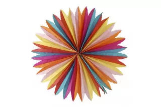 Фант-гигант (70 см)