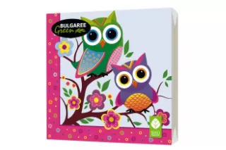 Салфетки «Совы» (20 шт.) Салфетки «Совы» (20 шт.)