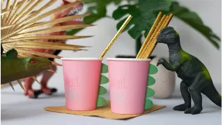 Dino Party для девочек